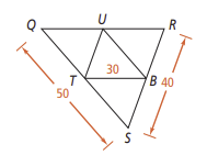 Activity 2